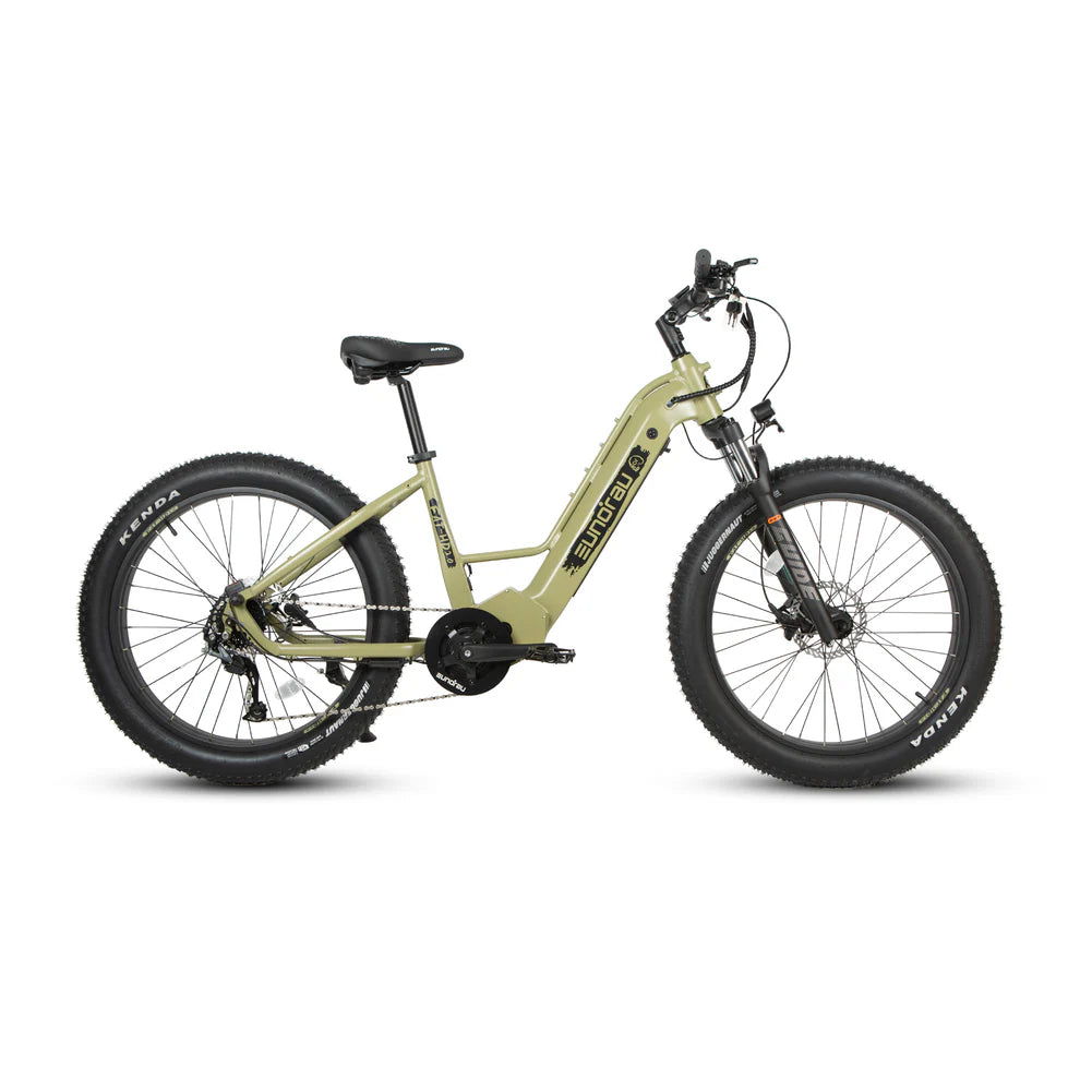 EUNORAU FAT-HD | 1000W Fat Tire Electric Bike with Mid-Drive Motor
