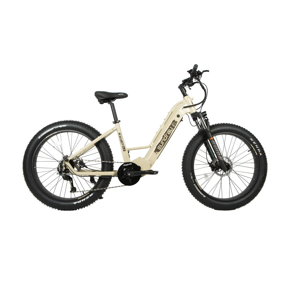 EUNORAU FAT-HD | 1000W Fat Tire Electric Bike with Mid-Drive Motor